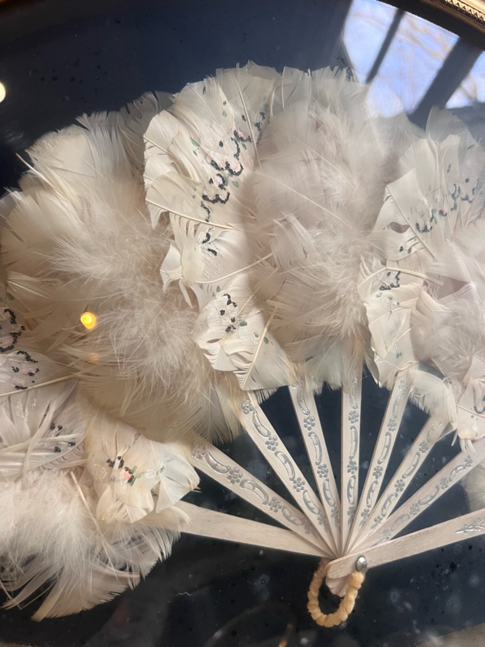 Antique Feather Fan in Ornate Baroque Gold Frame